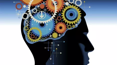 Learning innovations at Auckland school grabs Microsoft attention