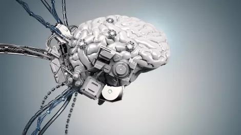 Otago experts to work with Government on AI framework